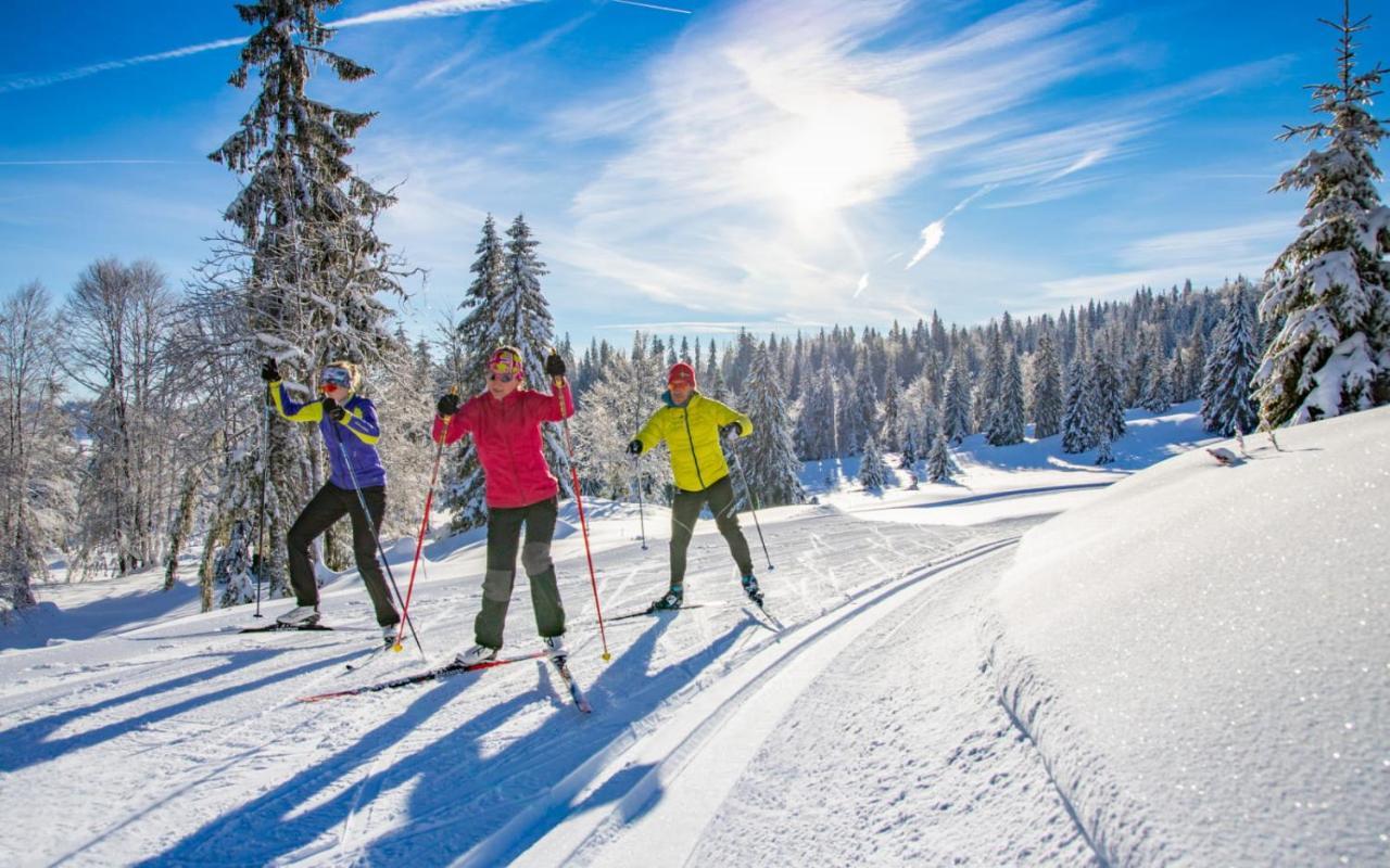 Gite Avec Terrasse Et Belle Vue - Chaletnelda Com Ламура Экстерьер фото