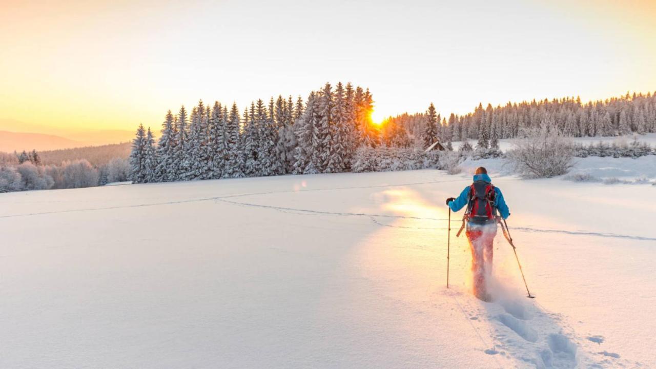 Gite Avec Terrasse Et Belle Vue - Chaletnelda Com Ламура Экстерьер фото